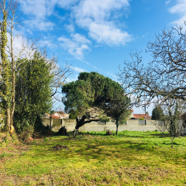 Offres de vente Terrain Soullans 85300